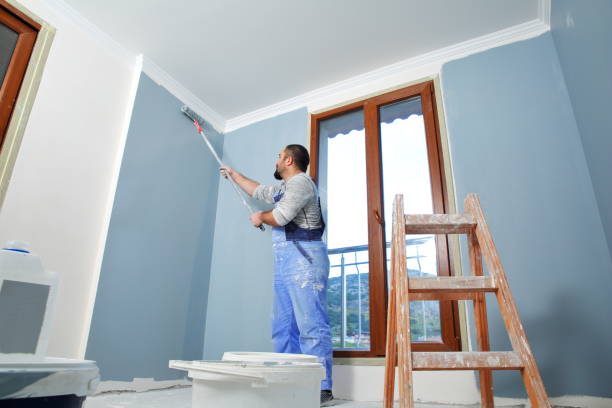  Van Horn, TX Mold Removal Pros