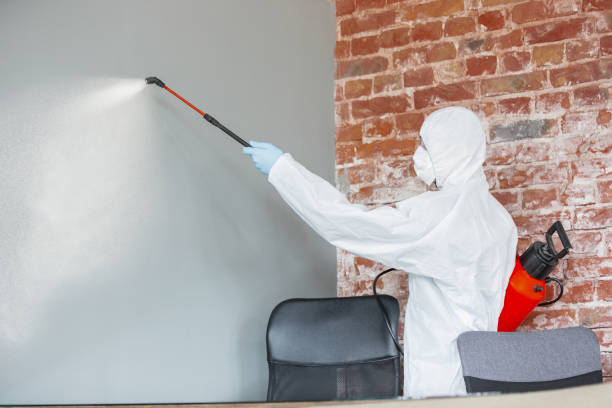 Best Mold Prevention Services  in Van Horn, TX