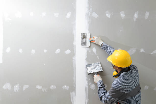 Best Residential Mold Inspection & Testing  in Van Horn, TX