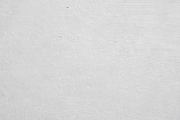 Trusted Van Horn, TX Mold Removal Experts