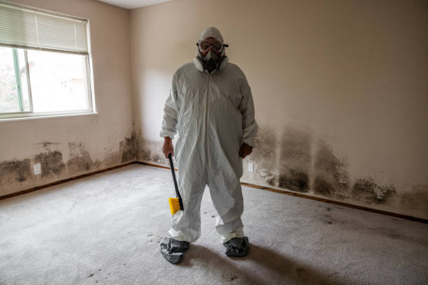 Best Post-Construction Mold Inspection  in Van Horn, TX